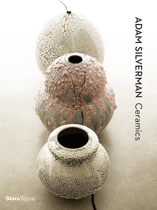 Interview with American Potter Adam Silverman — image 11
