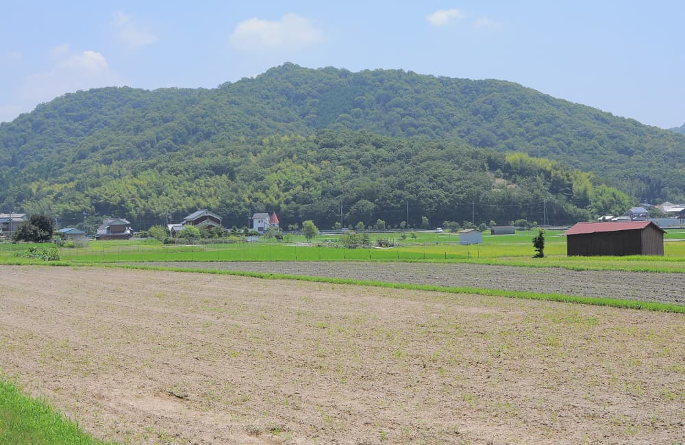 Feature on Potter Misa Kumabuchi of Mushimegane Books — image 11
