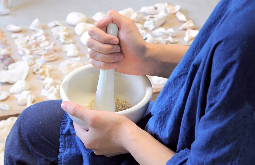Feature on Potter Misa Kumabuchi of Mushimegane Books — image 4