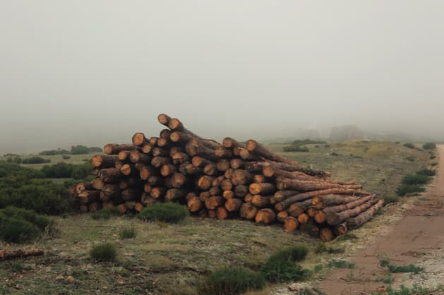 Set Of Imagery From Iban Ramon