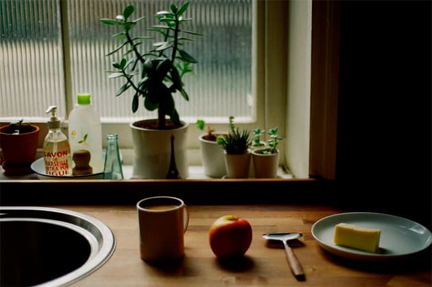 Set of Imagery by Charlotte Bland
