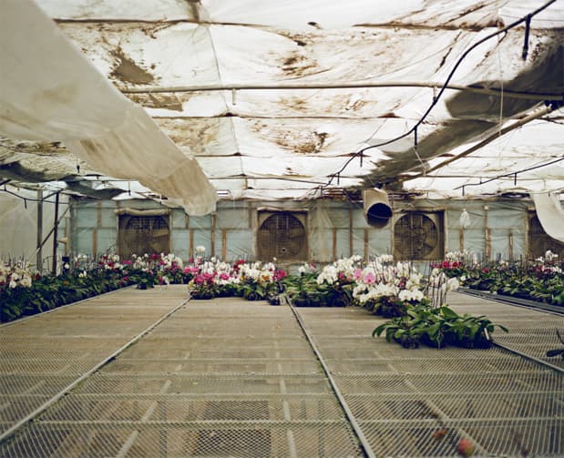 Set of Imagery by Julia Galdo