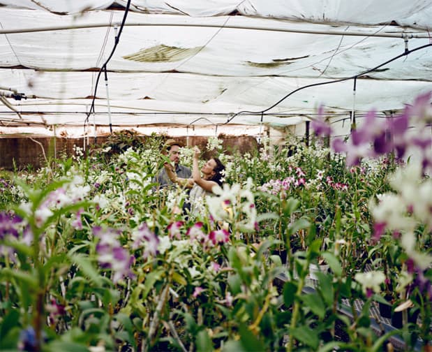 Set of Imagery by Julia Galdo
