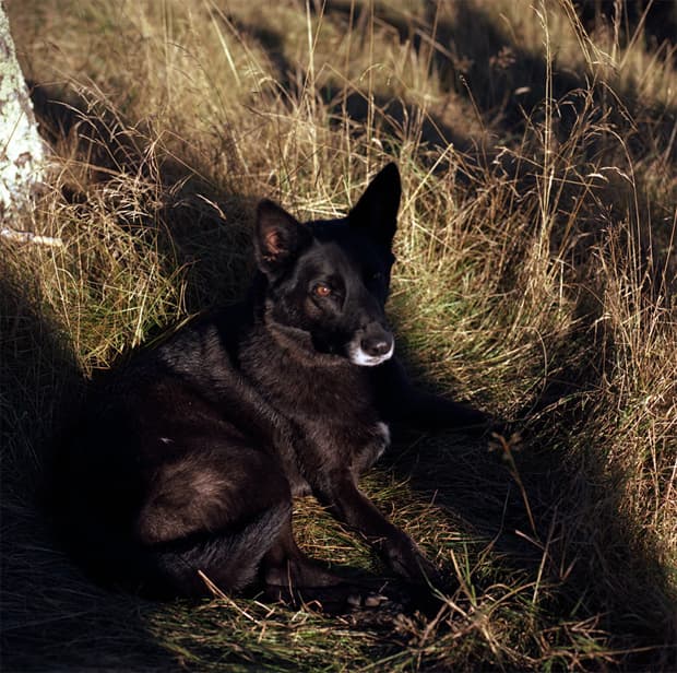 Photography by Jonathan Levitt