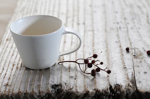 Pure White Vessels by Takashi Sogo