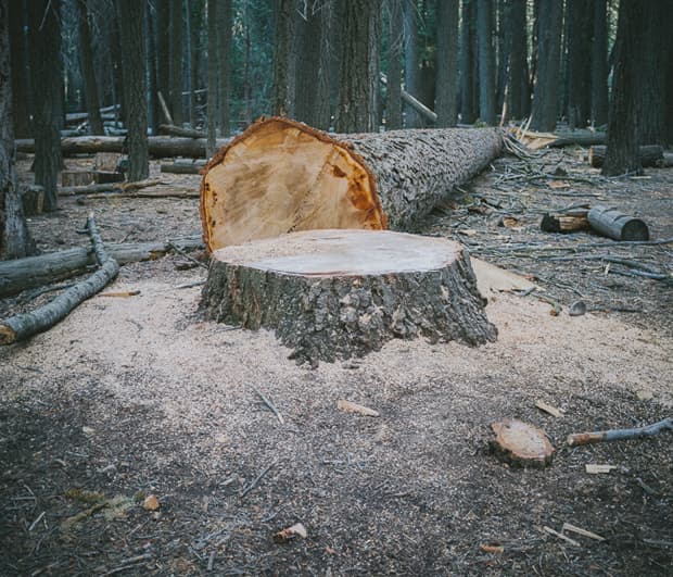 Recent Photography by Cody Cobb