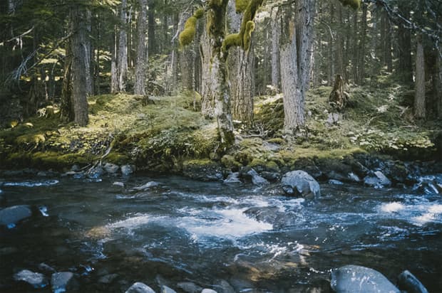 Recent Photography by Cody Cobb image2