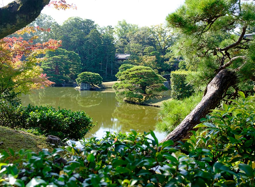 Timeless Appeal – A Visit to Katsura Rikyu Imperial Villa in Kyoto, Japan — photograph 1
