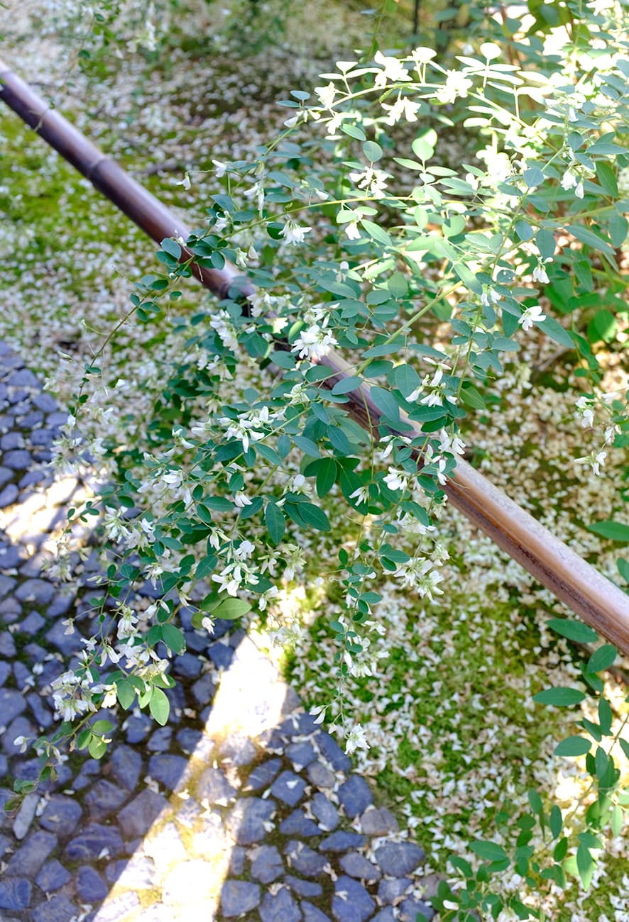 Timeless Appeal – A Visit to Katsura Rikyu Imperial Villa in Kyoto, Japan — photograph 13