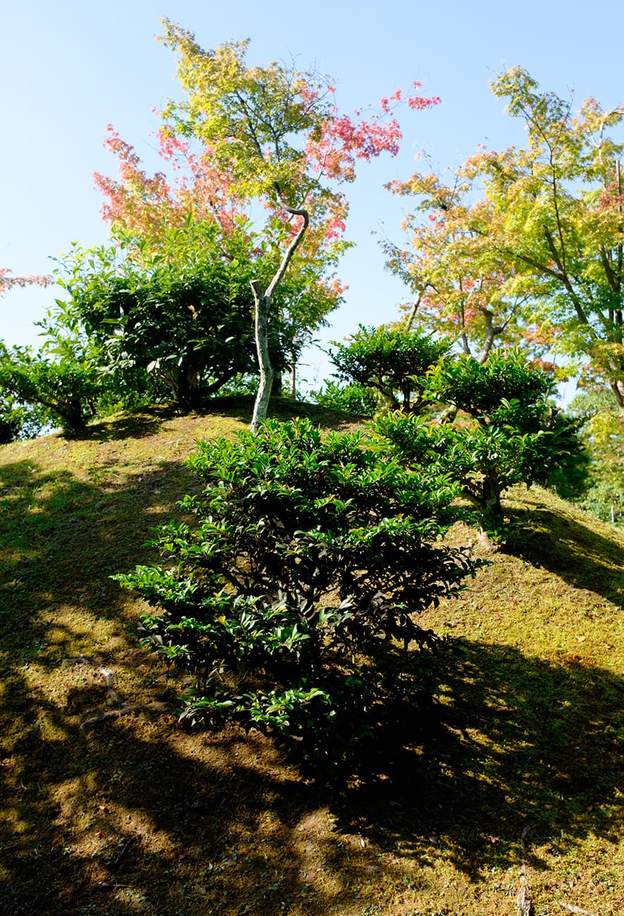 Timeless Appeal – A Visit to Katsura Rikyu Imperial Villa in Kyoto, Japan — photograph 2