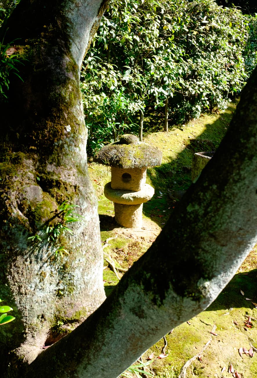 Timeless Appeal – A Visit to Katsura Rikyu Imperial Villa in Kyoto, Japan — photograph 6