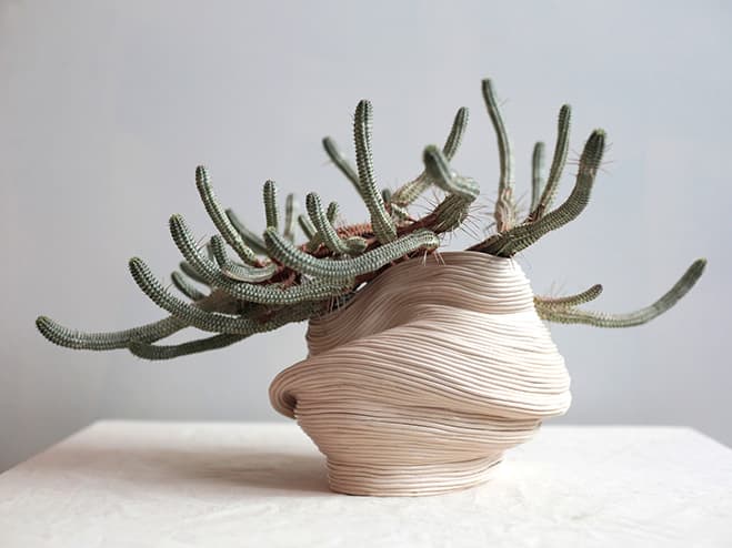 Botanic Life Extended – Ceramic Series by Taiwanese Artist Zhu Ohmu — ceramic work 2