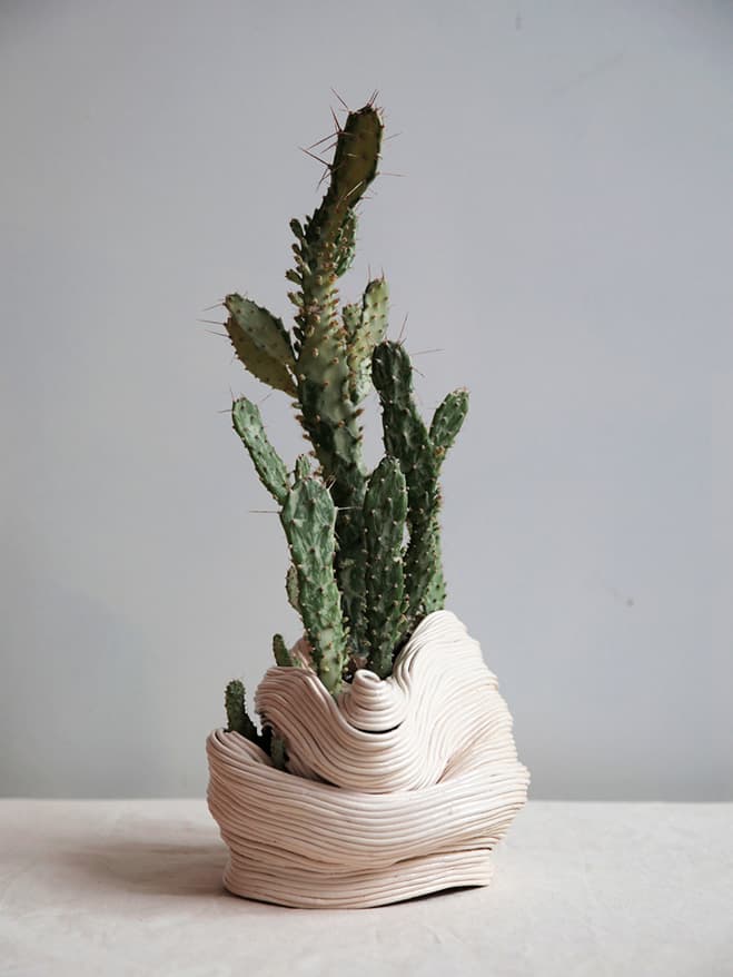 Botanic Life Extended – Ceramic Series by Taiwanese Artist Zhu Ohmu — ceramic work 3