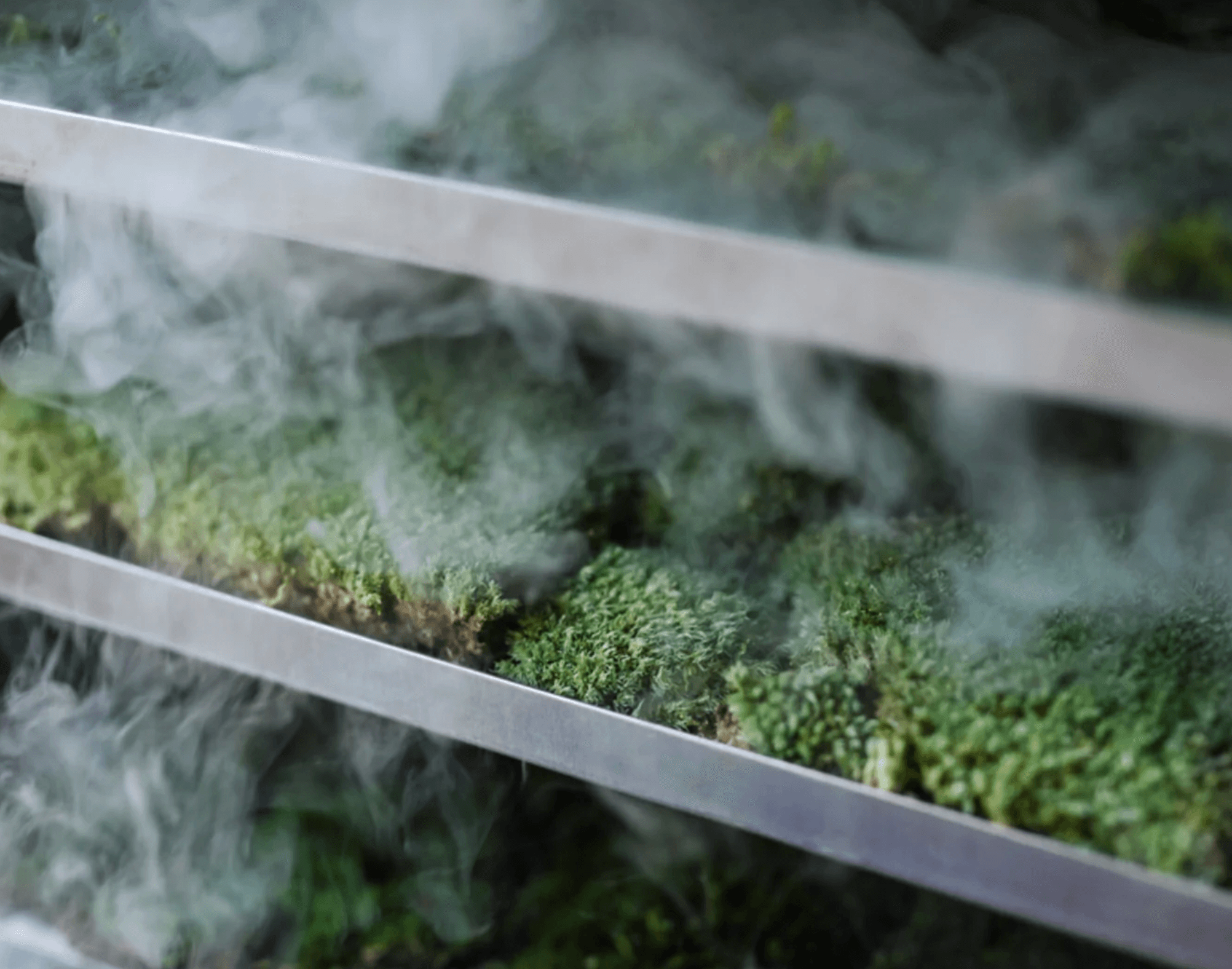 New at OEN – Mini Zen Gardens by FUJIGOKE — product detail 2