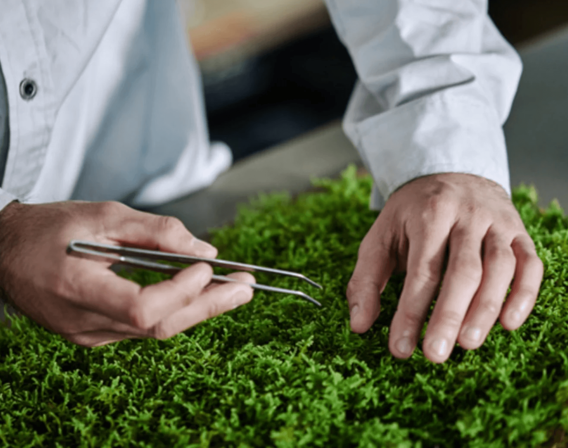 New at OEN – Mini Zen Gardens by FUJIGOKE — product detail 3