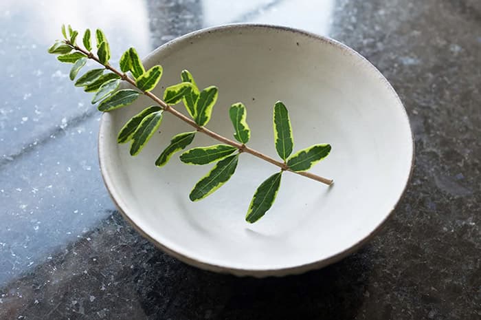 New at OEN – Pottery by Katsufumi Baba — product detail 1