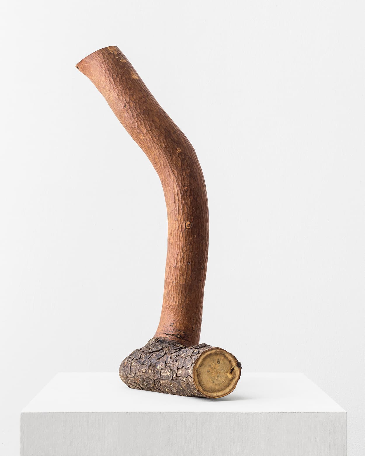 Nature and Craft Sculpture by Baptiste Lanne 4