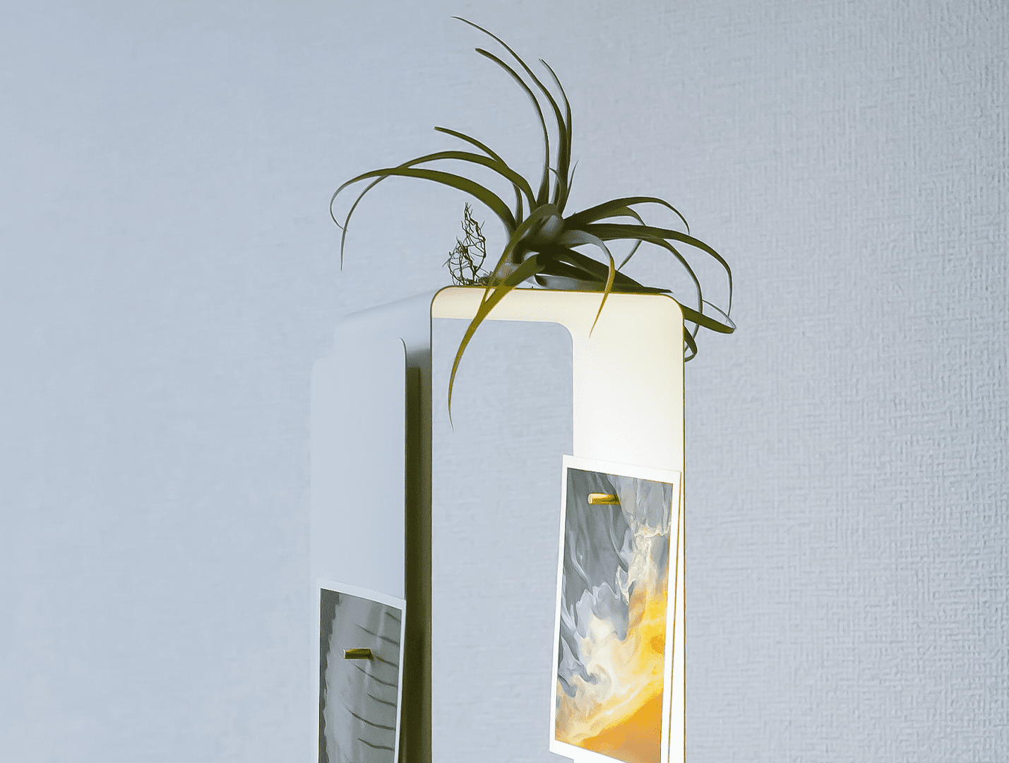 The Light Shelf by Y.S.M. Products — interior view 2