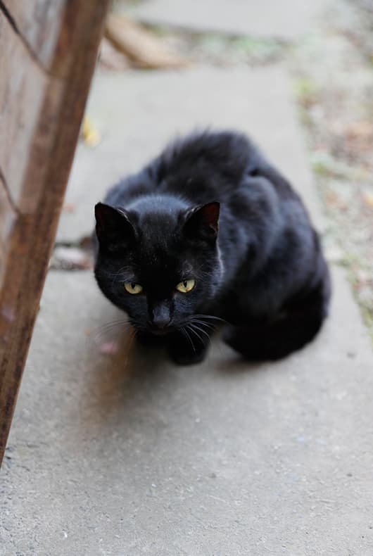 Inside the Pottery Studio of Japanese Potter Makoto Asebi — image 19
