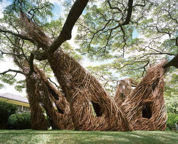 Interview with American Sculptor Patrick Dougherty — image 3