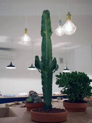 Interview with Clarent Dehlouz, Co-Founder of FrenchTrotters — image 1