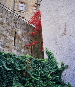 Interview with New York Based Photographer Brian W. Ferry — image 2
