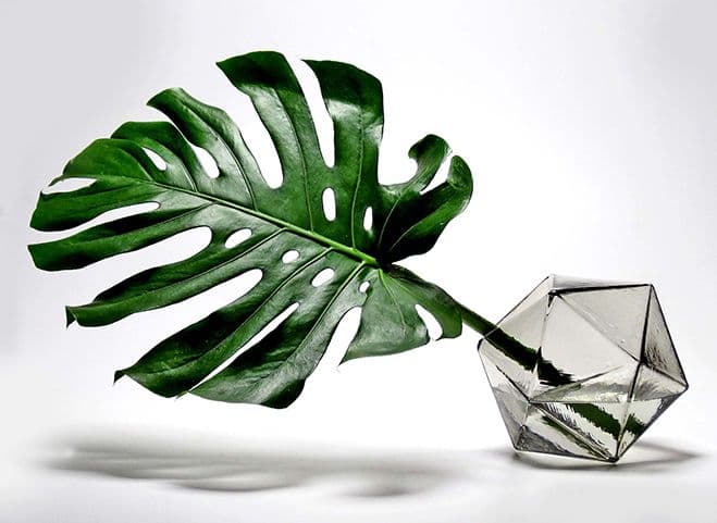 A Pursuit in Watercolour – Transparent Glass Forms by Lynn Read