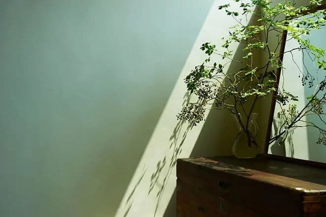 A Sense of Aesthetics – Japanese Interviews and Interiors by LIFECYCLING