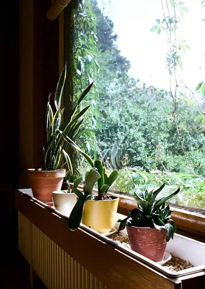 A Trip to Helsinki, Finland – Inside Finnish Designer Alvar Aalto’s Home — architectural view 3