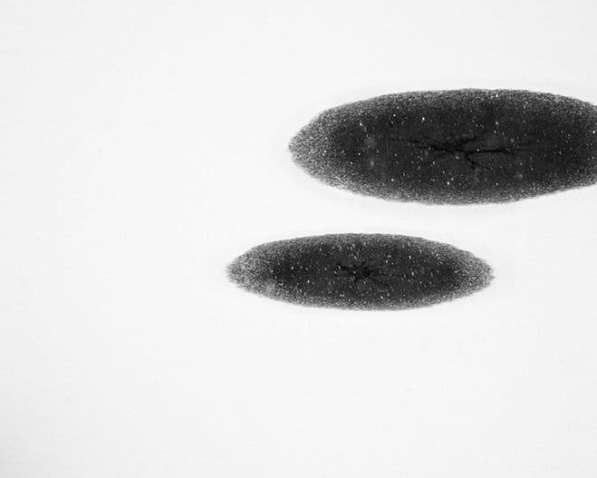 Absolute Silence, Full of Possibility – White Utterance by Jung Jung Ho