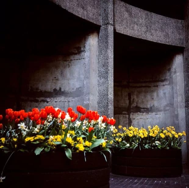 Adam Currie Photographs the Barbican — photograph 2