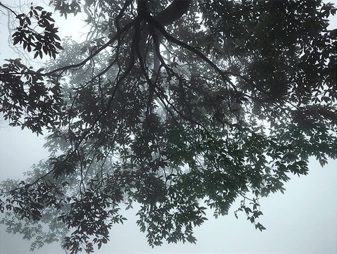 Articulating the Unseen World – Nature Captured by Photographer Boomoon