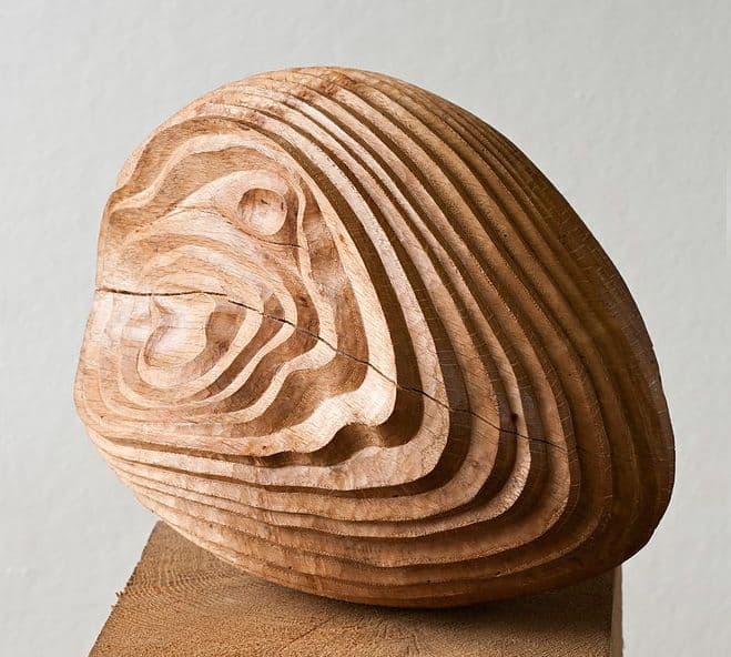 Forms Crafted from Wood – Hand Carved Wooden Sculptures by Alison Crowther