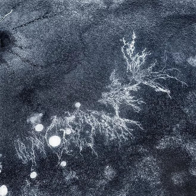 Frozen Surfaces & Ice Formations – Photography by Ryota Kajita — photograph 1