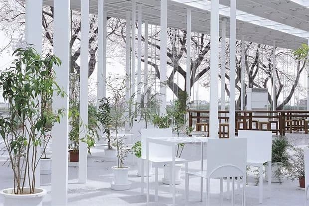 Junya Ishigami, ‘How small? How vast? How architecture grows’