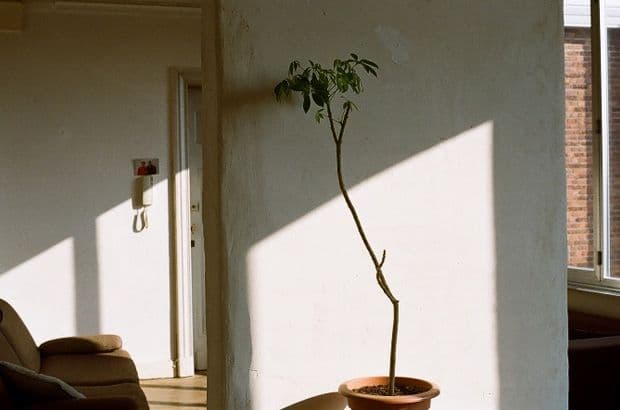 Living Quarters Photographed by Mieke Verbijlen