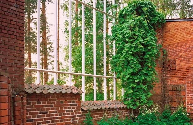 A Look at Alvar Aalto’s Muuratsalo Experimental House