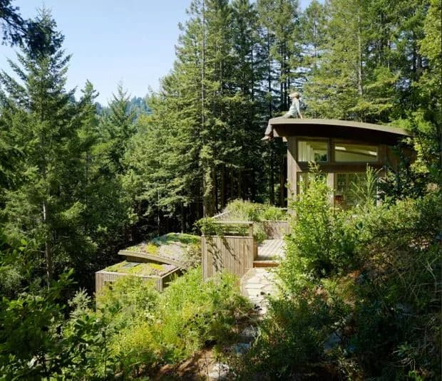 Mill Valley Cabins by Feldman Architecture — architectural view 3