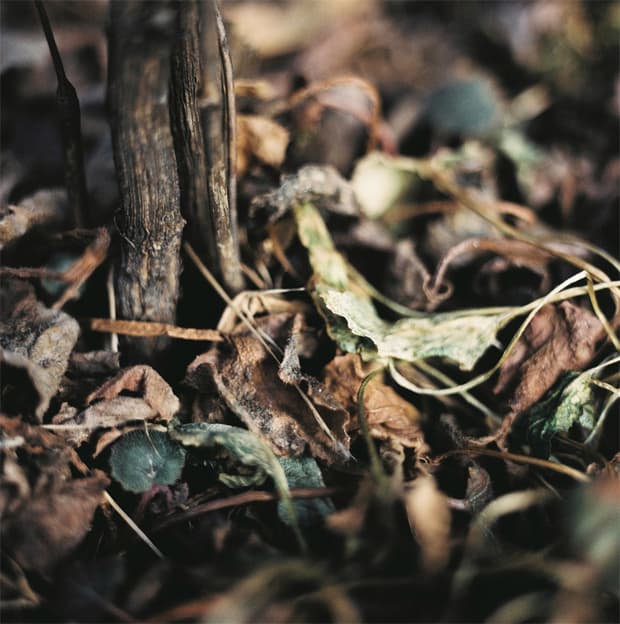 Set of Imagery by YoungDoo Moon — photograph 2