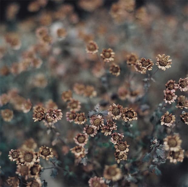 Set of Imagery by YoungDoo Moon — photograph 3