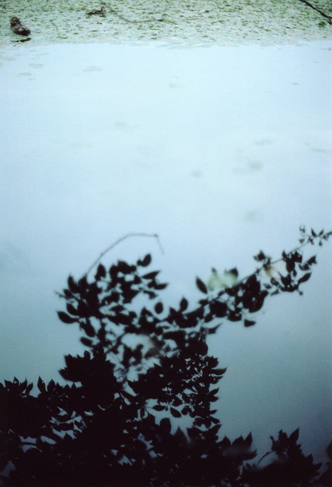 Vivid Film Photography by Naoko Tamura