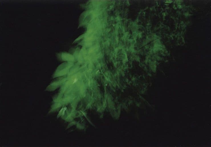 Vivid Film Photography by Naoko Tamura — photograph 1