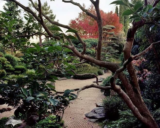 Zen Gardens & Outdoor Spaces by Photographer Bruno Suet — photograph 2