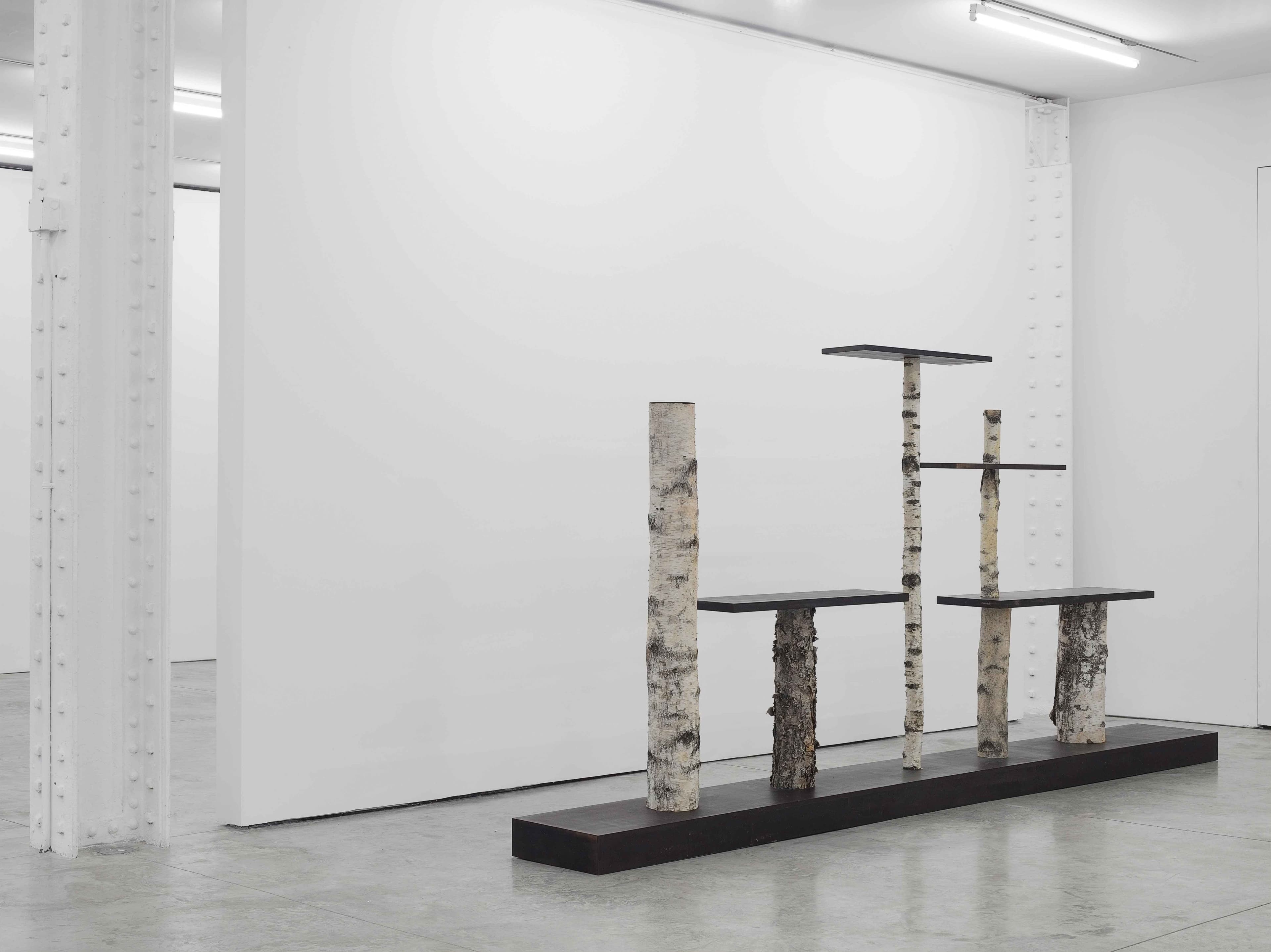 Tree 9 shelving by Andrea Branzi, alternate view