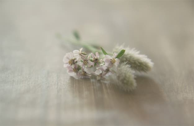 Imagery By Virgin Honey