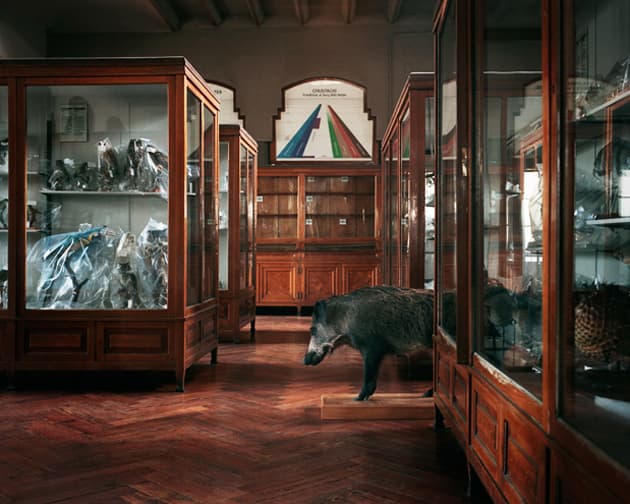 Set of Imagery from Salva López