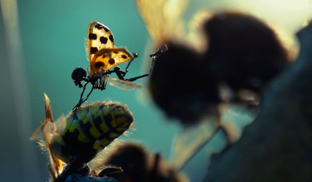 Amon Tobin ‘ISAM’ Film, Photography & Artbook