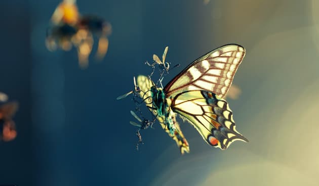 Amon Tobin ‘ISAM’ Film, Photography & Artbook