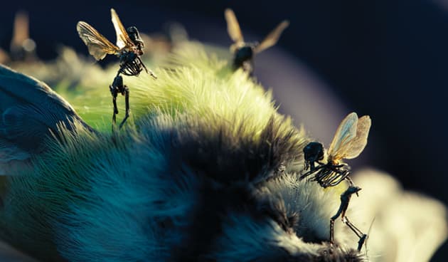 Amon Tobin ‘ISAM’ Film, Photography & Artbook