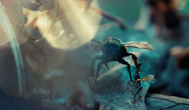 Amon Tobin ‘ISAM’ Film, Photography & Artbook